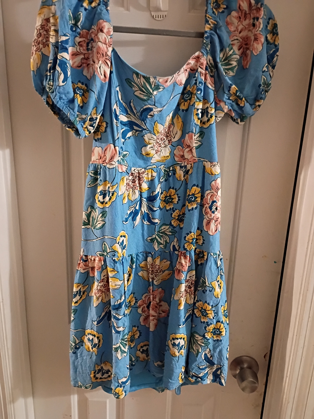 Japna Blue Floral Puff-Sleeve Mini Dress